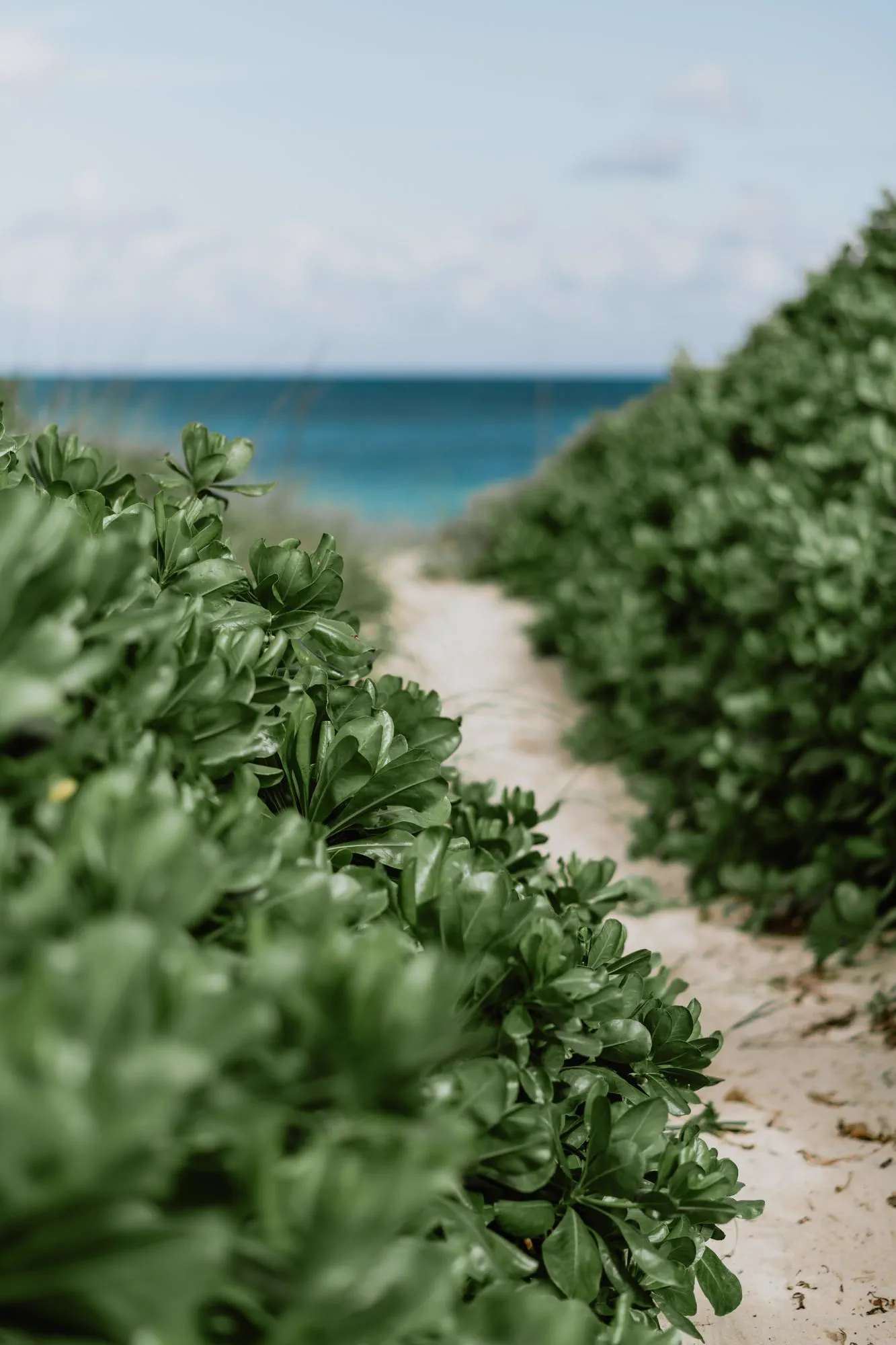 A sandy path through the dunes opening to the clear turquoise bay.