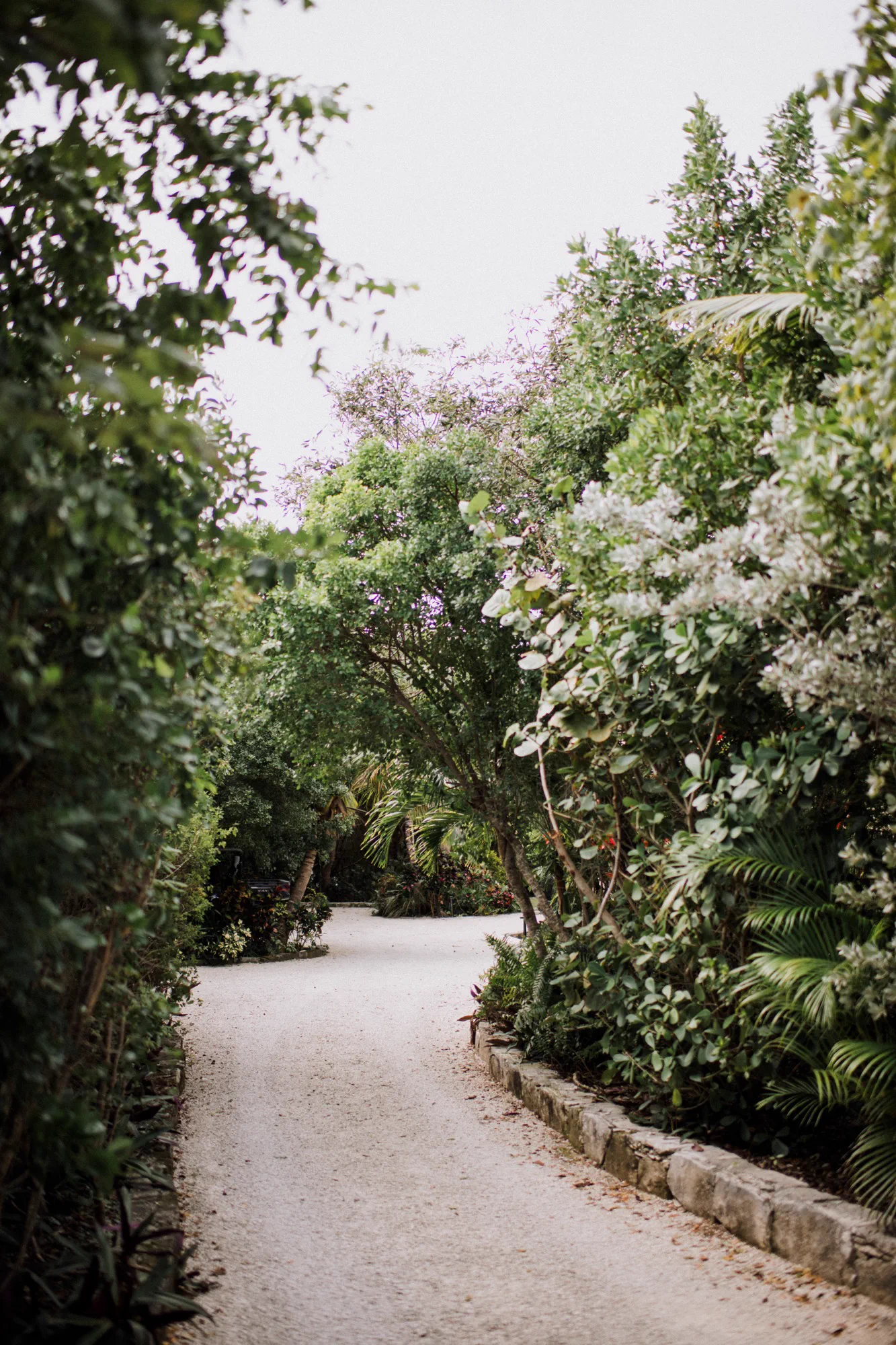 A garden walkway winding down through sea grape and palm toward the water's edge.